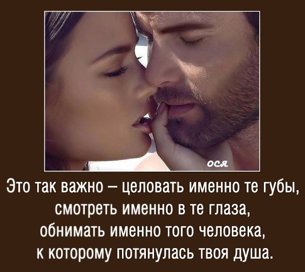 Запах твоей рубашки сводит с ума Запах твоей рубашки сводит с ума