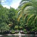 ���� Ild, ���, 44 ���� - ��������� 20 ���� 2021 � ������ ���� ����������