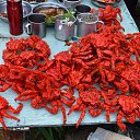  , , 69  -  3  2021    .  .