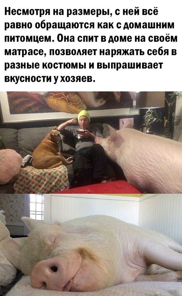   - 4