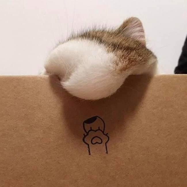        - 3