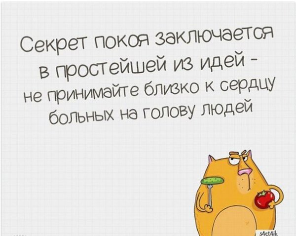   - 22  2021  23:42