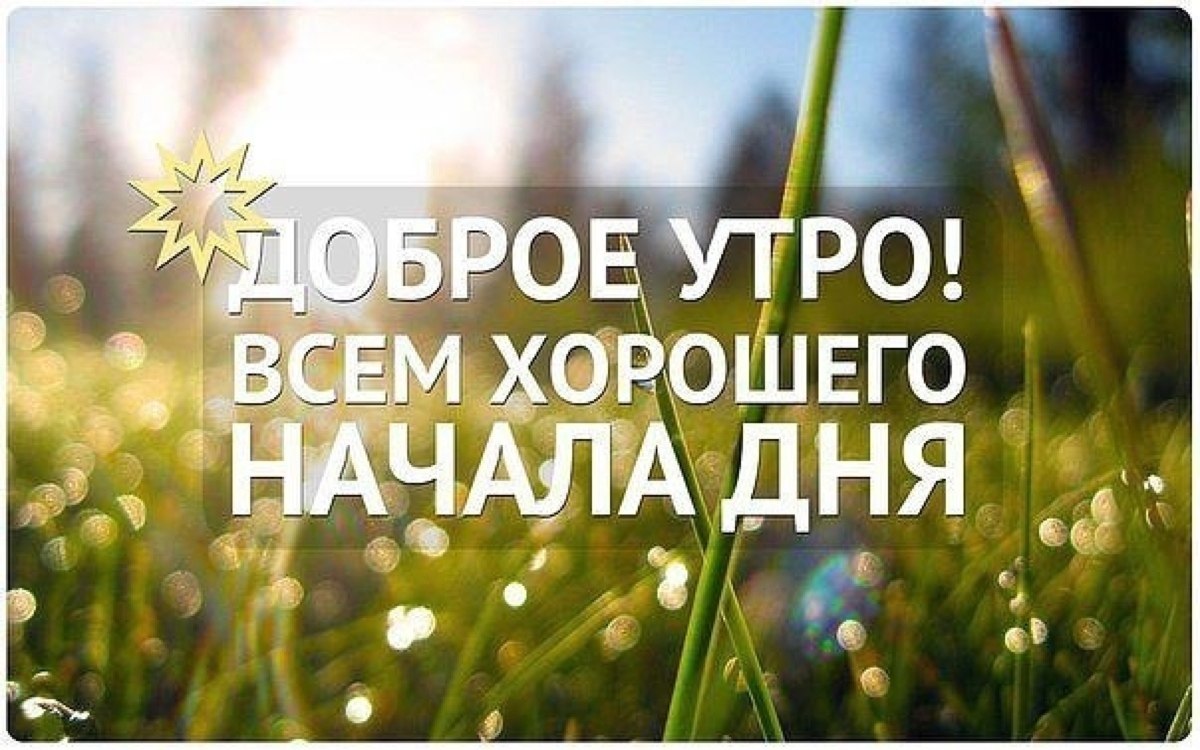   ,    . - 21  2021  23:56 - 9