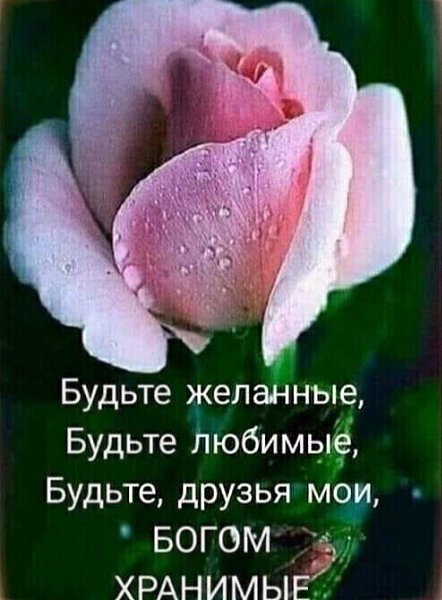 ........... ..Как много МЫ с ТОБОЮ ПЕРЕЖИЛИ….друг другу сказано немало слов…мечтали вместе…. ...