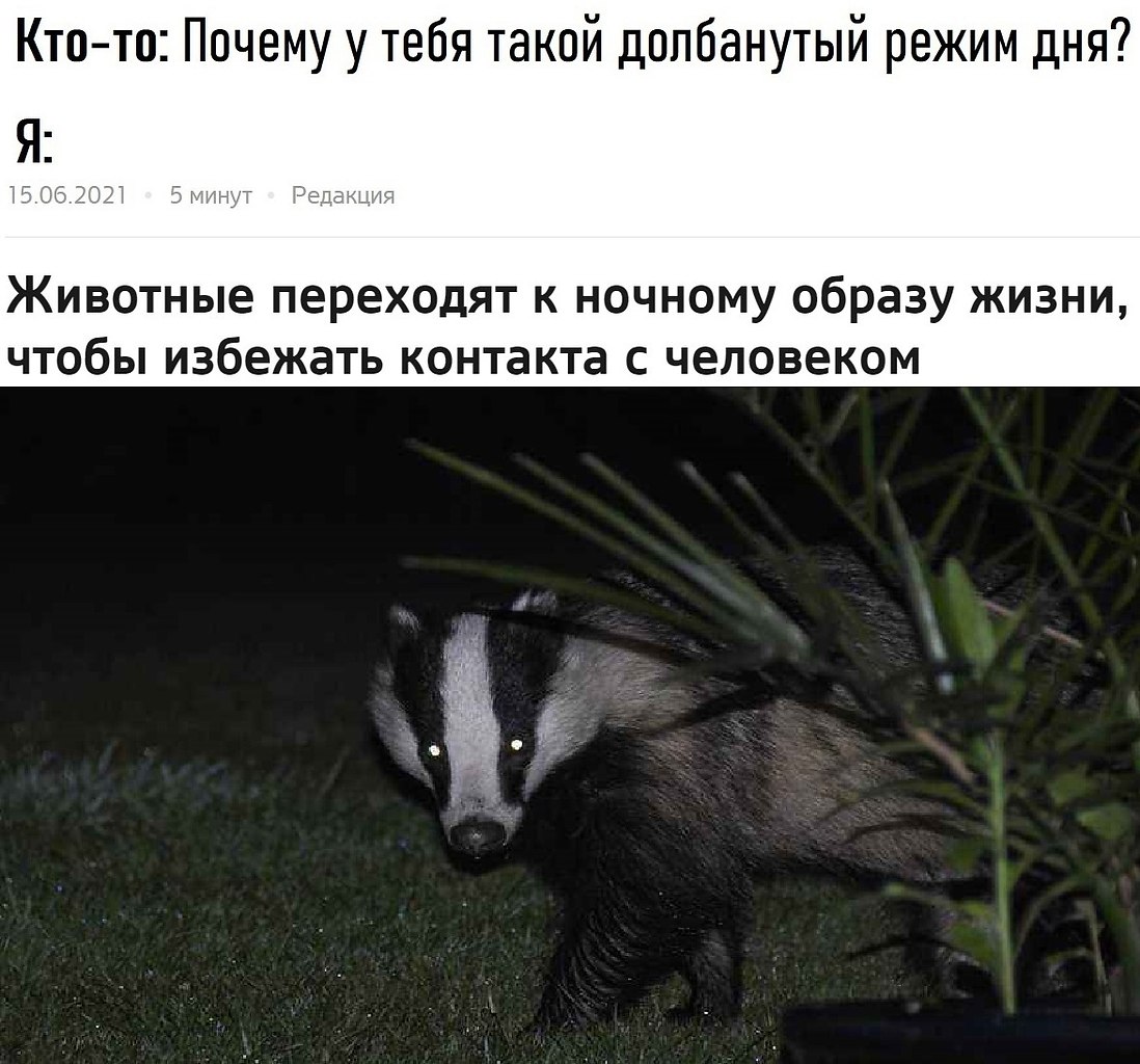 ������ ���� ������ ��� �������� ����, ��� ������� �� �� �����.�������