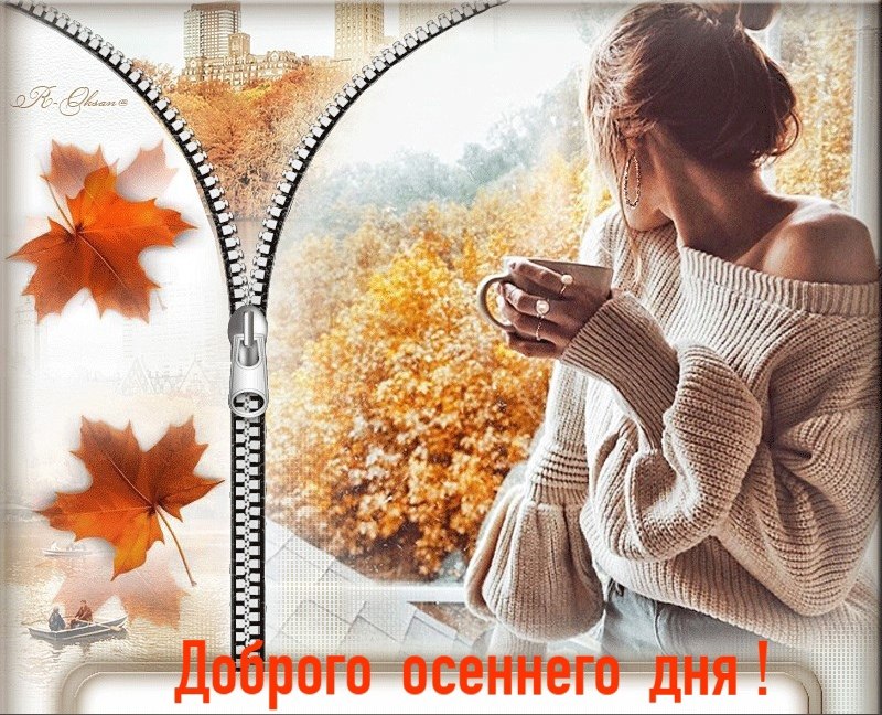   ,    . - 28  2021  14:39 - 3