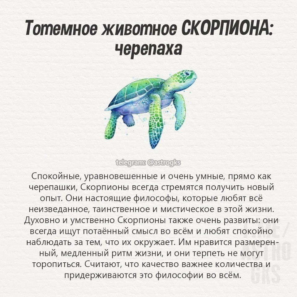 Шаманский тотем волка. Тотемное животное дениса. Джоди бергсма волки. Джоди бергсма тотемы. Тотемные животные.