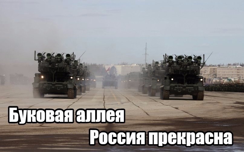   - 21  2022  03:08