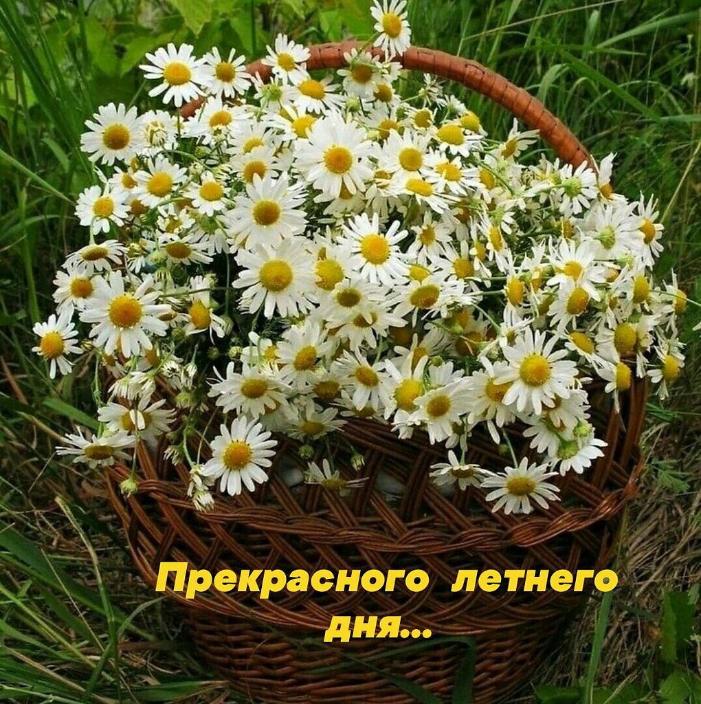   ,    . - 21  2021  14:23 - 2