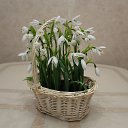 ���� Svetik, ������ - ��������� 3 ������� 2022 � ������ ������(������� ����)�