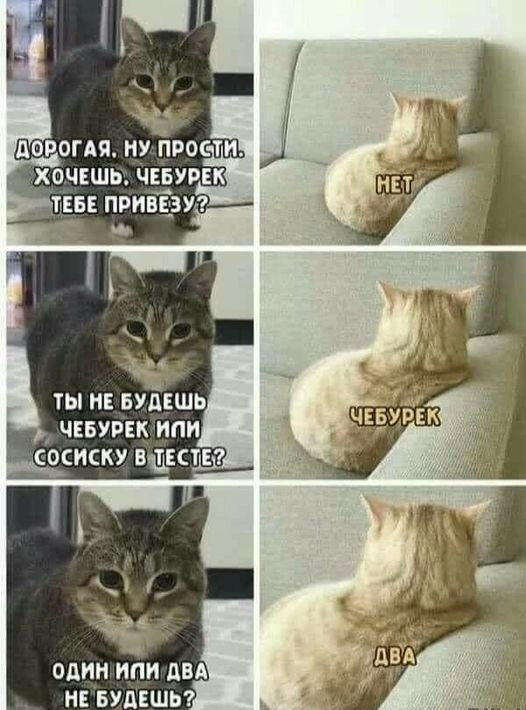   - 15  2021  09:48