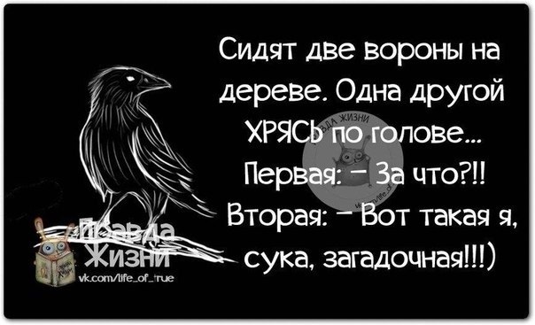   - 10  2021  03:56
