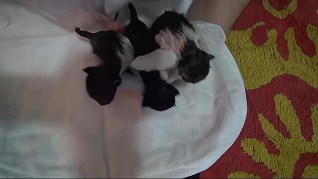           ,     ... - 3