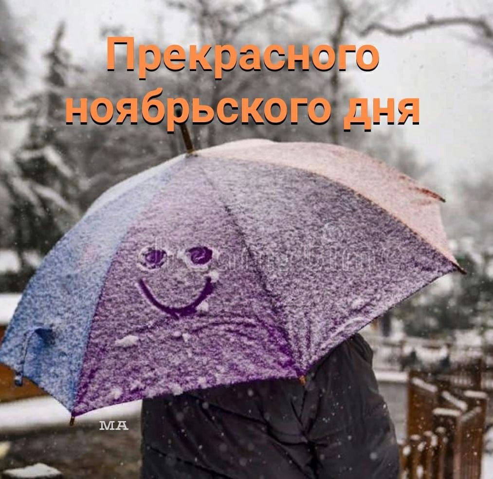   ,    . - 3  2021  15:40 - 3