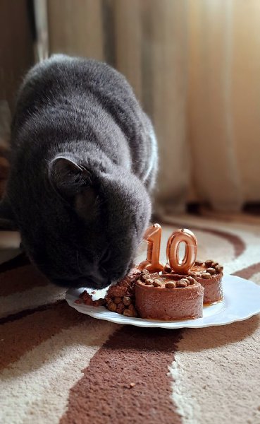     10 !    )) - 2