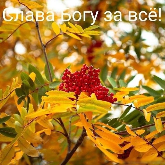   ,    . - 22  2021  11:58 - 8