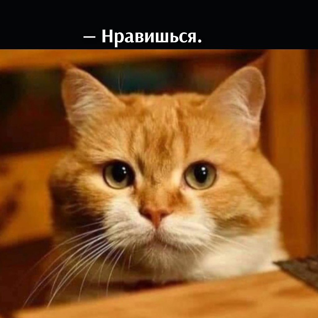       - 13  2021  16:17 - 3