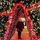 ���� ����� )), �������, 55 ��� - ��������� 11 ������� 2021 � ������ ���� ����������