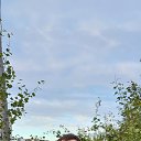 ���� Alexander, ������������, 43 ���� - ��������� 16 �������� 2021 � ������ ���� ����������