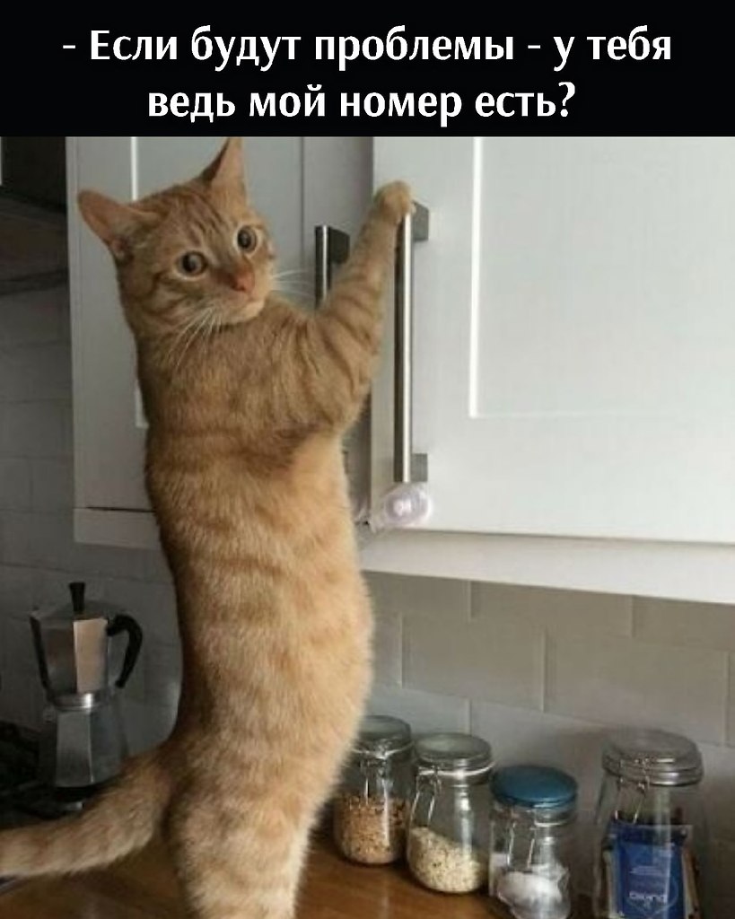       - 15  2021  16:04