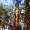 ���� Haver Santa, ���������� ����� - ��������� 28 ���� 2021 � ������ �:)�