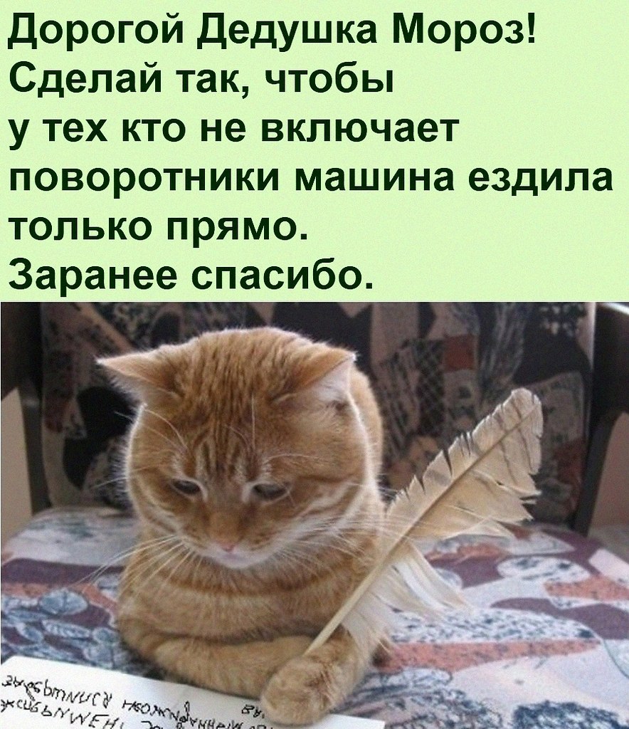   :D - 21  2021  08:41