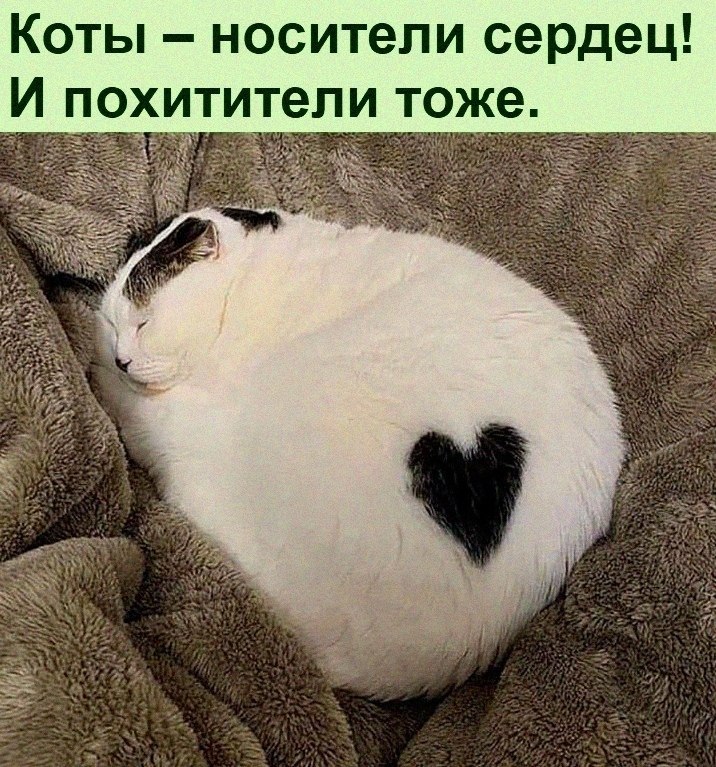   :D - 26  2021  12:47