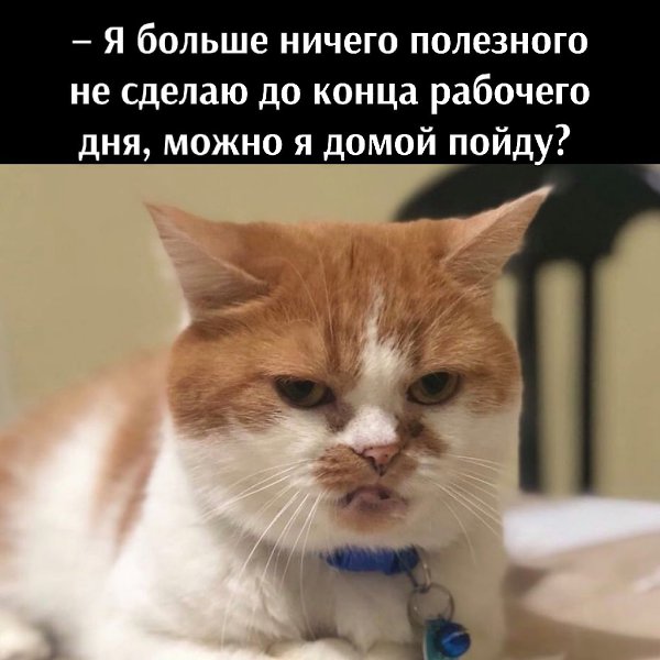       - 22  2021  15:10