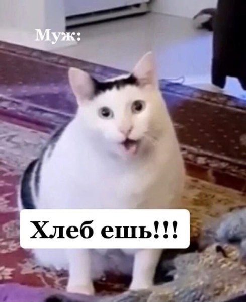        ? - 5