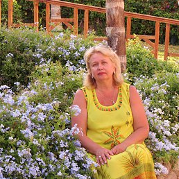 ���� ������, ���� - ��������� 26 ���� 2021