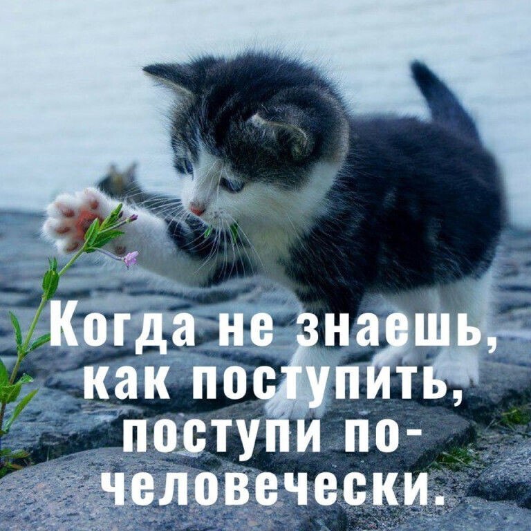  ! - 22  2021  21:01