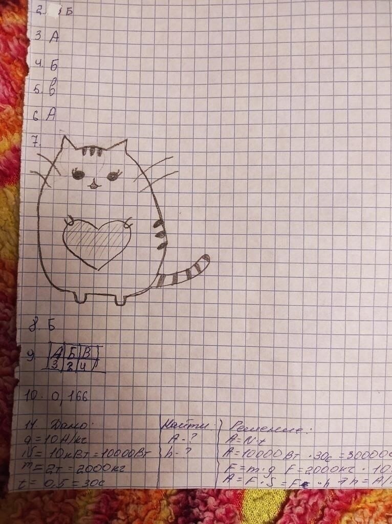  ,     ,        ... - 6