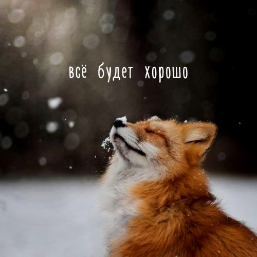  ! - 9  2022  15:47