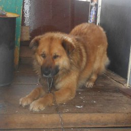 ������, ������������, 45 ���