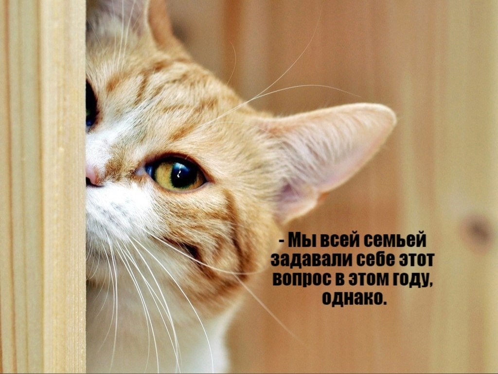       - 2  2021  19:21 - 4