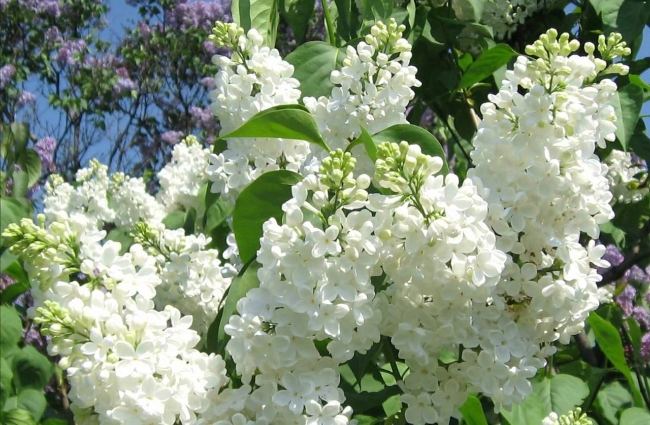 ,     !      .        ...