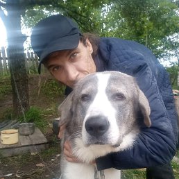 �������, ������� ��������, 44 ����