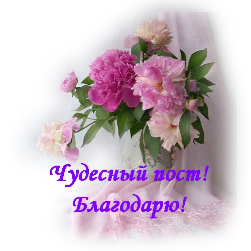   ,    . - 26  2021  18:04 - 7