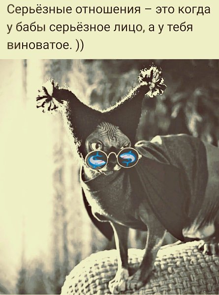 ***Victoria Viktorovna*** - 13  2021  04:51
