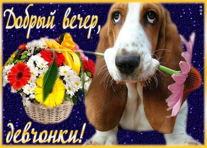 ����������� � ���������, �������� �� ������ ����. - 22 ���� 2021 � 20:49