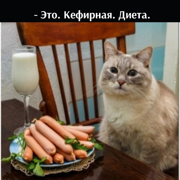       - 11  2021  22:26 - 4