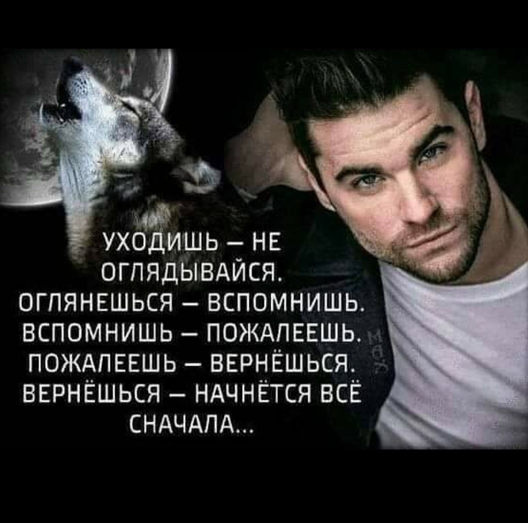 White Wolf - 20  2021  08:45