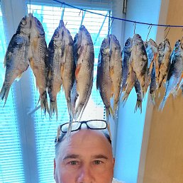 �������, 61 ���, ������