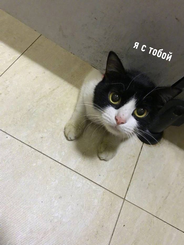    ,      - 2