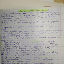 ���� ������, ������������, 26 ��� - ��������� 29 ������ 2021