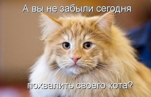    - 10  2021  14:35