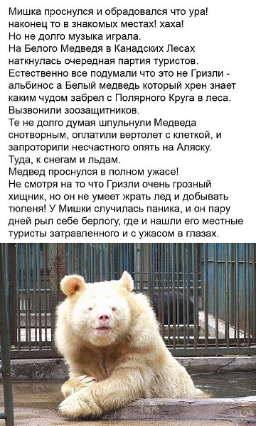 Вот это, конечно, судьба у мишки... Хорошо, что всё хорошо закончилось! Шальная - 3