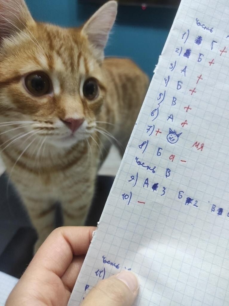  ,     ,        ... - 10
