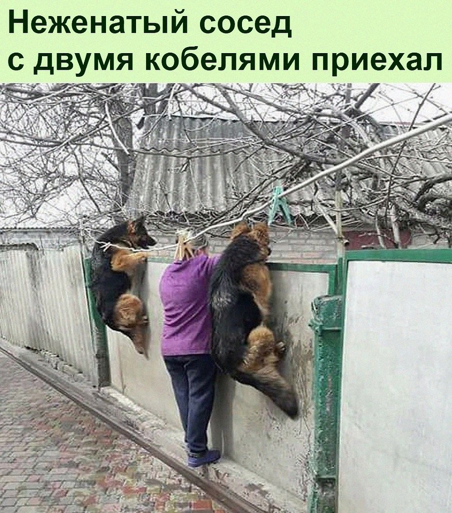  :D - 20  2021  20:47