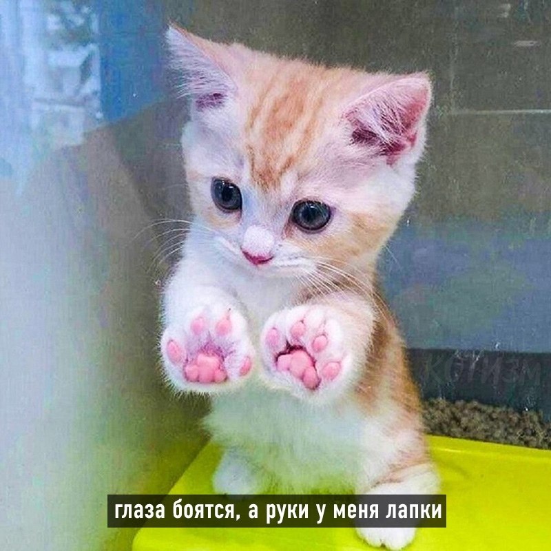   - 7